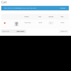 WooCommerce Cart Notices