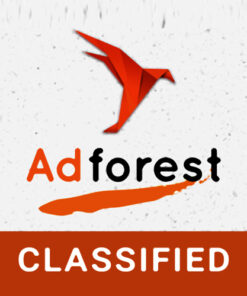 AdForest – Classified Ads WordPress Theme