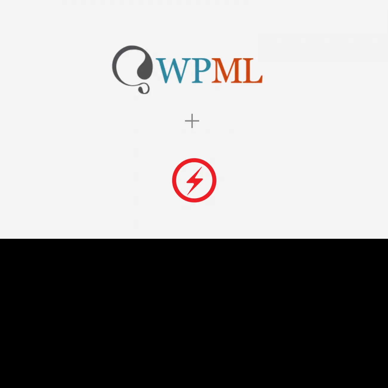 WPML For AMP