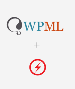 WPML For AMP