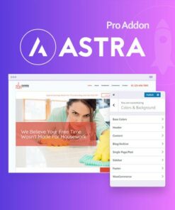 Astra Pro Addon