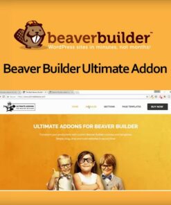 Beaver Builder Ultimate Addon