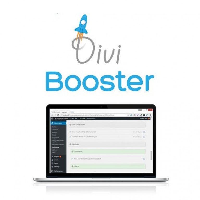 Divi Booster