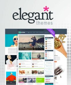 Elegant Themes Extra