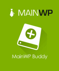 MainWP Buddy Extension