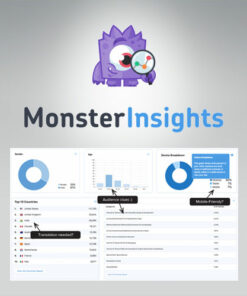 MonsterInsights-Pro-Google-Analytics-Premium