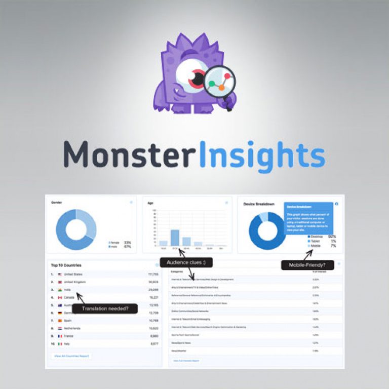 MonsterInsights-Pro-Google-Analytics-Premium