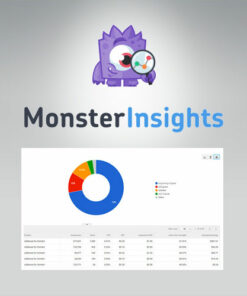 MonsterInsights – Ads Addon