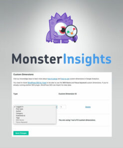 MonsterInsights – Dimensions Addon