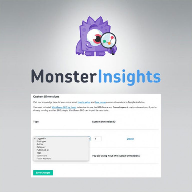 MonsterInsights – Dimensions Addon