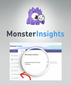 MonsterInsights – Facebook Instant Articles Addon