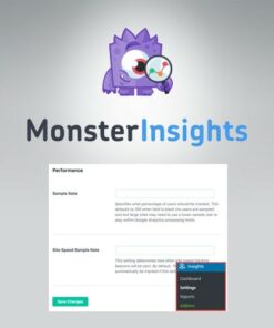 MonsterInsights – Performance Addon