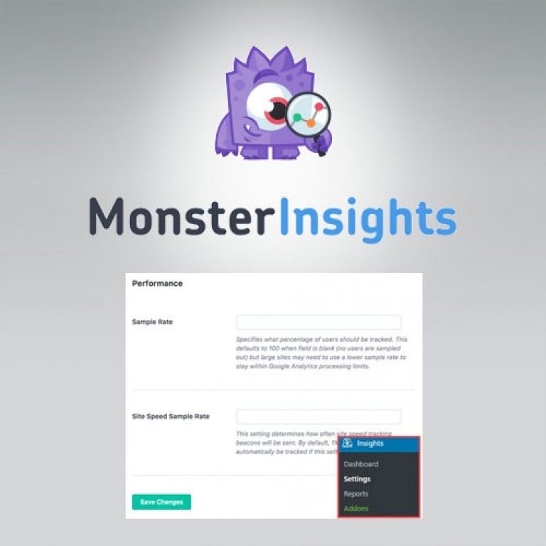 MonsterInsights – Performance Addon