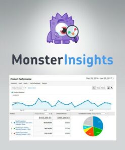 MonsterInsights – eCommerce Addon