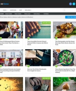 MyThemeShop Ad-Sense WordPress Theme