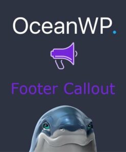 OceanWP Footer Callout