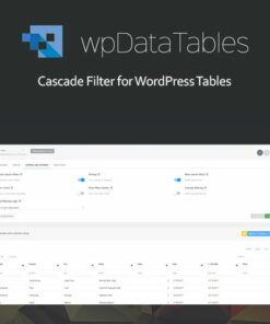 Powerful Filters for wpDataTables