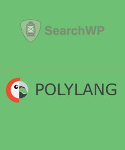 SearchWP Polylang Integration