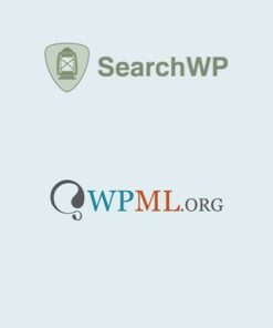 SearchWP WPML Integration