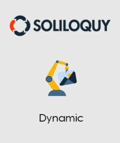 Soliloquy Dynamic Addon