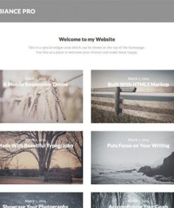 StudioPress Ambiance Pro Genesis WordPress Theme