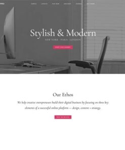 StudioPress Infinity Pro Genesis WordPress Theme