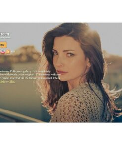 Themify Fullscreen WordPress Theme