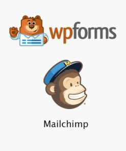 WPForms – Mailchimp