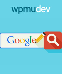 WPMU DEV Custom Google Search