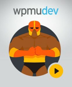 WPMU DEV Defender Pro