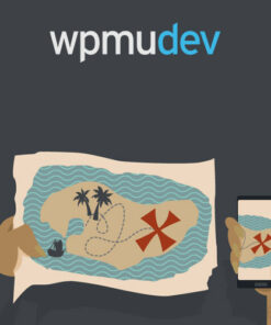 WPMU DEV Domain Mapping