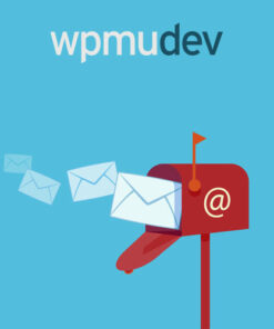 WPMU DEV E-Newsletter