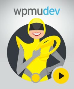 WPMU DEV Hummingbird Pro