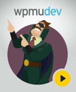 WPMU DEV Hustle