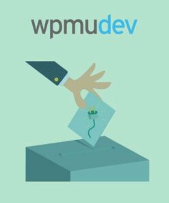 WPMU DEV Post Voting