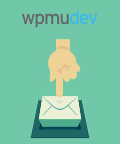 WPMU DEV Subscribe by Email