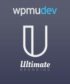 WPMU DEV Ultimate Branding