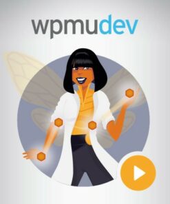 WPMU Dev Beehive Pro