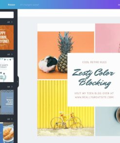 Canva Pro Account