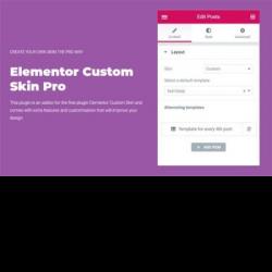 Elementor Custom Skin Pro