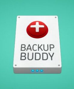 iThemes BackupBuddy