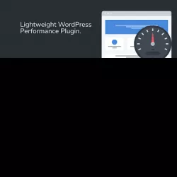 Perfmatters – Lightweight WordPress Performance Plugin