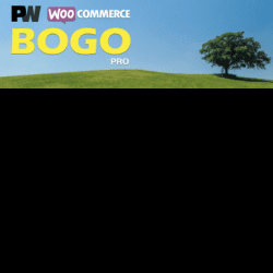 PW WooCommerce BOGO Pro