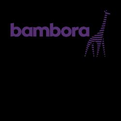 WooCommerce Beanstream / Bambora Payment Gateway