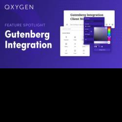 Oxygen Gutenberg Integration