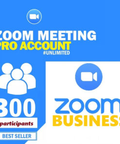 Zoom 300 Participants