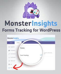 MonsterInsights Forms Tracking for WordPress