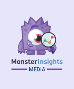 MonsterInsights Media