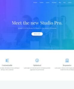 Studio Pro Theme