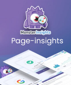 MonsterInsights – Page Insights